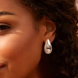 Silver Teardrop Earrings